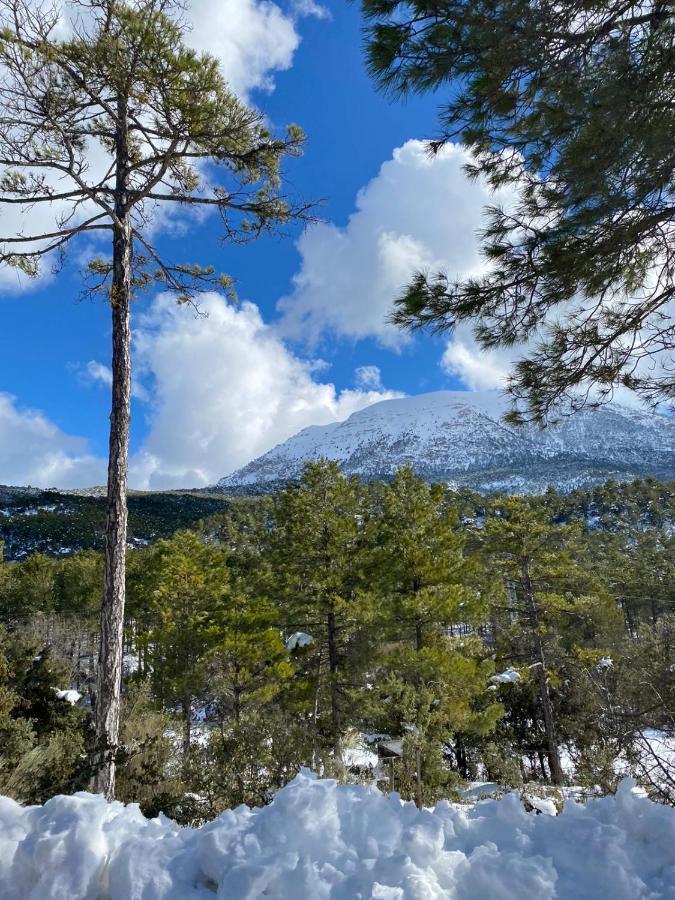Finca Los Villegas Castril Eksteriør bilde